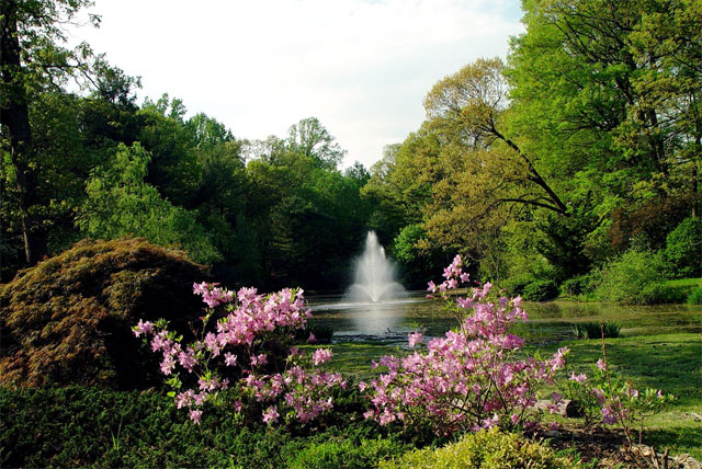 Laurelwood Arboretum